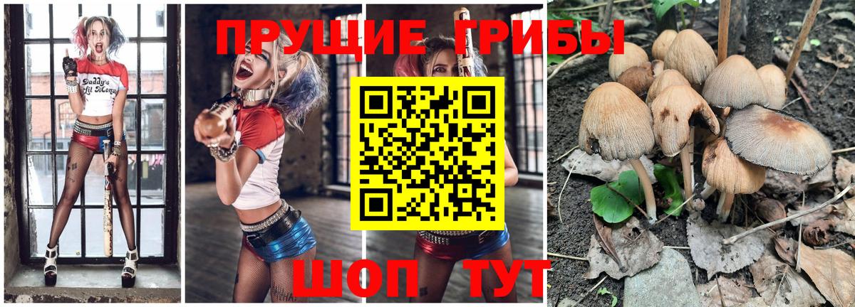 Нижневартовск  Псилоцибиновые грибы Cubensis  Вход с VPN 